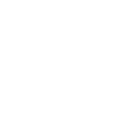 boy-broad-smile icon